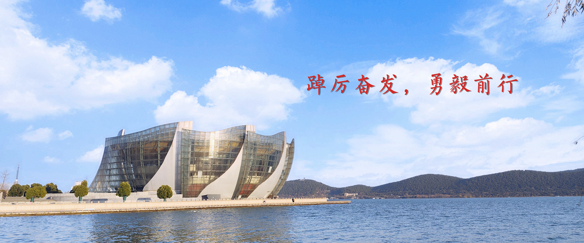 踔厉奋发，勇毅前行